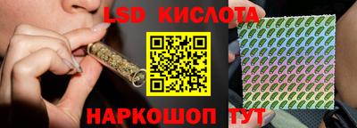 стаф Кинель