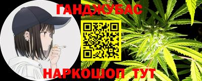 мдпв Кингисепп