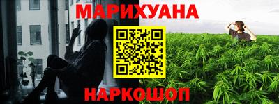 мдпв Кингисепп