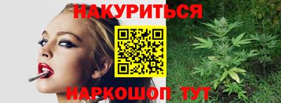 мдпв Кингисепп