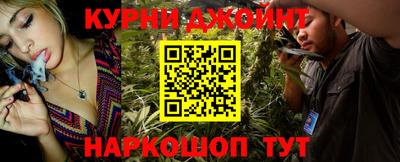 мдпв Кингисепп