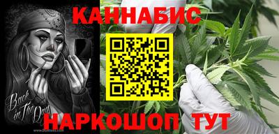 мдпв Кингисепп