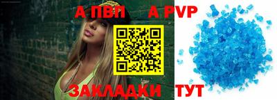 стаф Кинель