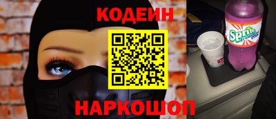 мдпв Кингисепп