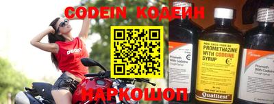 мдпв Кингисепп