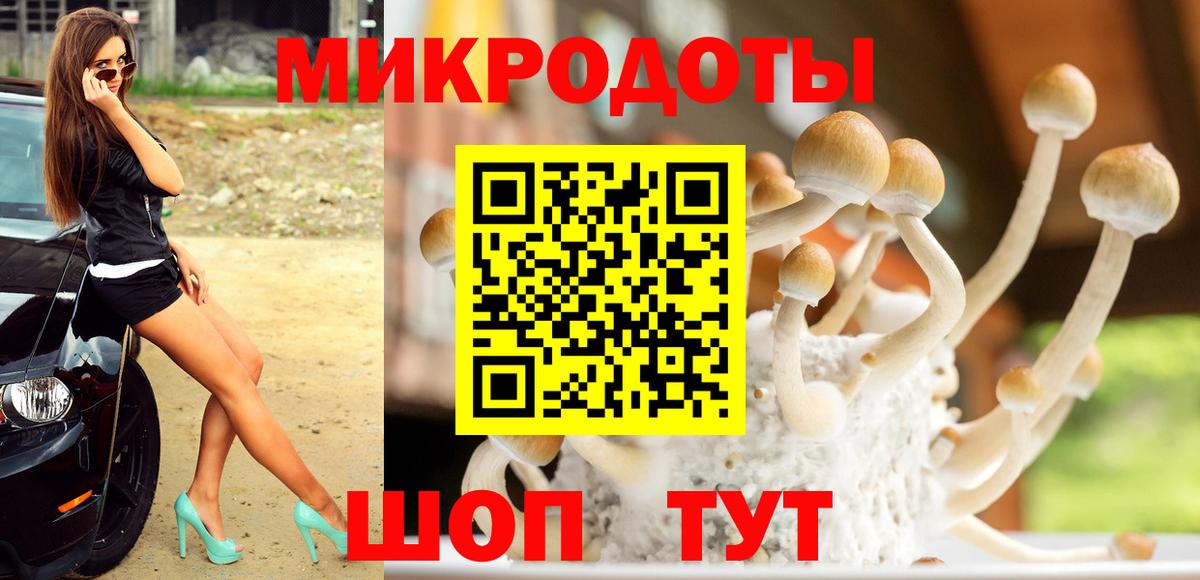 Галлюциногенные грибы Psilocybe Заречный